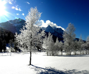 View of a snowy landscape