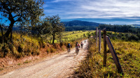 riders on a trail